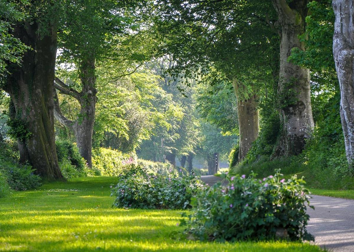 Отель Woodovis Park Тависток Экстерьер фото